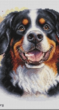 Banani stichery Bernese