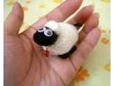 Shop with Denise - Wooly Booly
