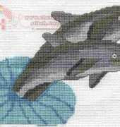 Two Dolphins - Jerry Van Horn