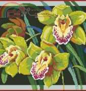 Janlynn 023-0387 Orchids