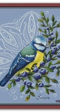 Savera - Blue Tit