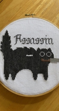 A Cat Assassin gift