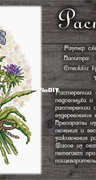Milk Thistle and Herbs by Natalia Pivtsaeva