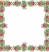 Tablecloth with poppies