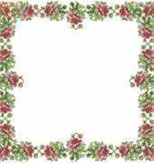 Tablecloth with poppies