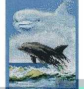 Janlynn 013-0305 Forever Wild - Dolphin