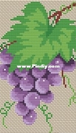 Grape by Natalia Kovalchuk