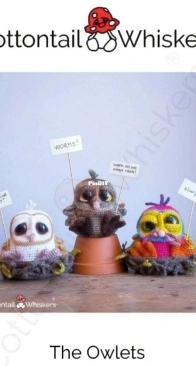 Cottontail and Whiskers - Bea King - The Owlets