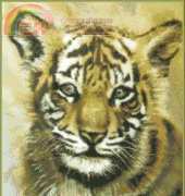 Kustom Krafts JW-008 Baby Tiger XSD