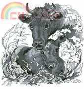 OOE 87943 Cow and calf