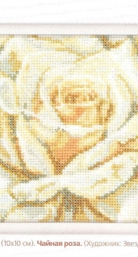 RTO C072 Чайная роза - Tea Rose PCS + XSD