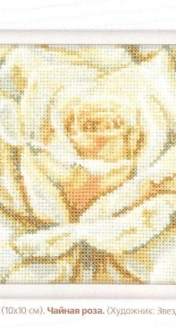 RTO C072 Чайная роза - Tea Rose PCS + XSD