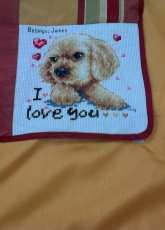 My first cushion