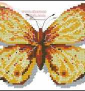 jasuzip-2004-04-a-butterfly-clossiana-perryi