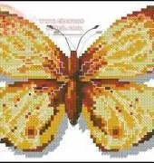 jasuzip-2004-04-a-butterfly-clossiana-perryi
