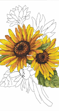 Coricamo - GC 10322 - Stately Sunflower - Free