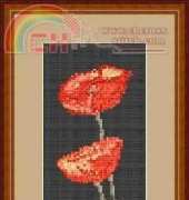 Megat 2071 A.Sliwa-Klara - Orange poppies