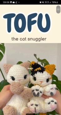 Hooked on toast - Tofu the cat snuggler