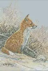Reinaert de vos from Borduurblad 45