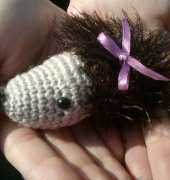 hedgehog