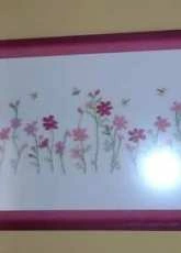 Cosmos