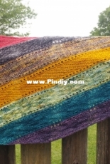 Buffalo Gal Shawl by Judy Murgia updated