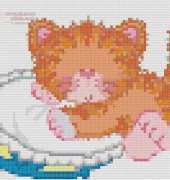 chat qui dort