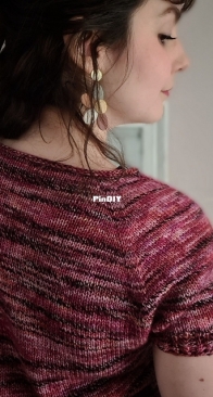 Pleione by Audrey Borrego - Free