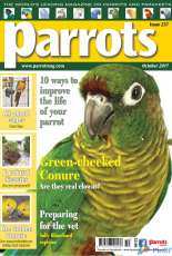 Parrots - October 2017