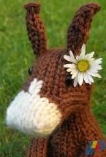 Hannibal the Donkey by Knit-a- Zoo -Free