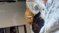 My girls