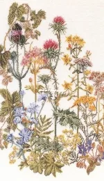 Thea Gouverneur TG 424 - Herbal Gardens XSD