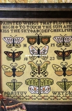 Kathy Barrick Painted Wings XSD