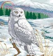 Dimensions 3861 The Stately Snowy Owl PCS