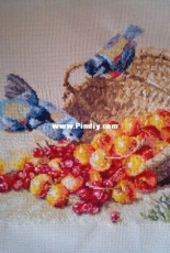 Alisa 1-14 "Titmouse and cherry"