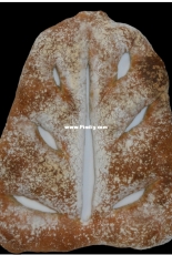 bread