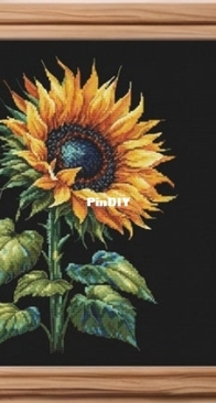 Sunflower by Anastasiia Yermakova