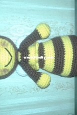 beautiful bee