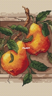 Pear by Olga Lankevich XSD
