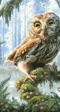 Owl by Galina Nesterenko XSD
