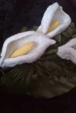 Cala Lilly