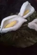 Cala Lilly