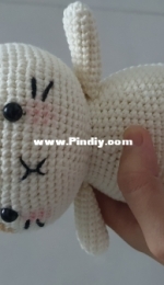 Hainchan- Crochet cat