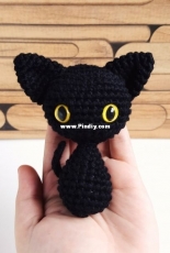 Black cat