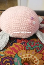 Pinky turtle