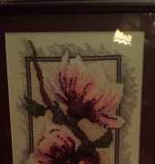 Magnolia