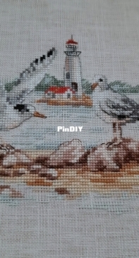 Alisa 3-30. Shallow. Seagulls