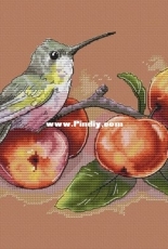 Alveigs Stitch - Apple Hummingbird by Ekaterina Ramaykina