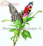 HAEPT 1194 - Peacock Rose Butterfly Fairy - Myrea Pettit