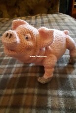 Piggy